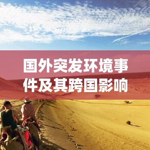 国外突发环境事件及其跨国影响分析