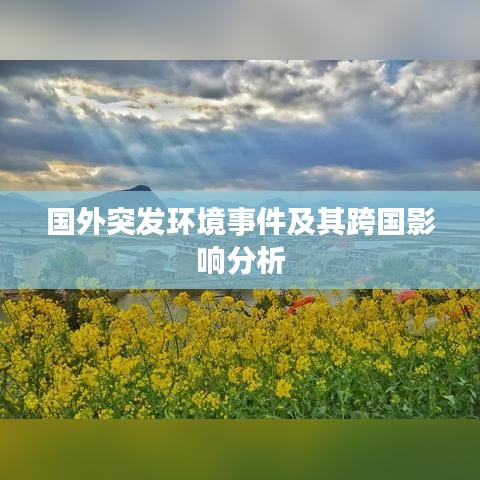 国外突发环境事件及其跨国影响分析
