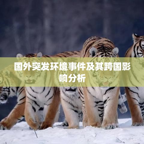 国外突发环境事件及其跨国影响分析