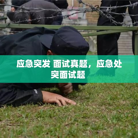 应急突发 面试真题,应急处突面试题