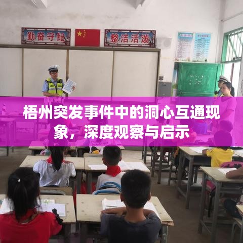梧州突发事件中的洞心互通现象，深度观察与启示