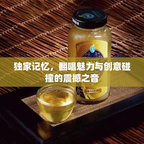 独家记忆,翻唱魅力与创意碰撞的震撼之音