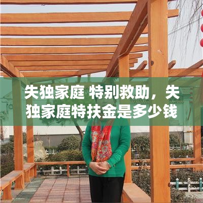 失独家庭 特别救助，失独家庭特扶金是多少钱 