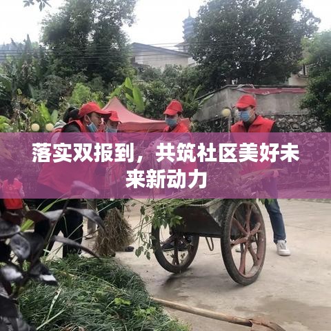 落实双报到，共筑社区美好未来新动力