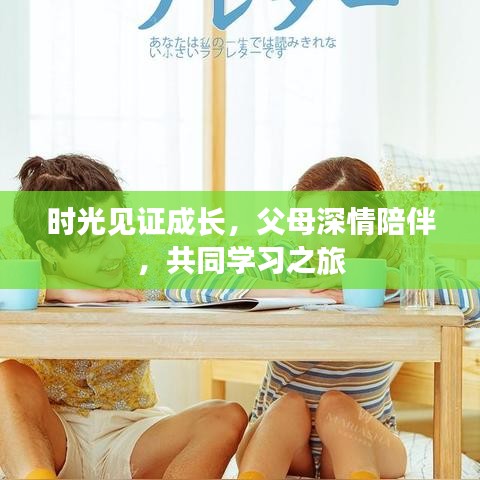 时光见证成长,父母深情陪伴,共同学习之旅