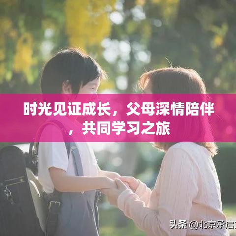 时光见证成长,父母深情陪伴,共同学习之旅