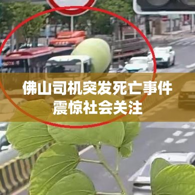 佛山司机突发死亡事件震惊社会关注