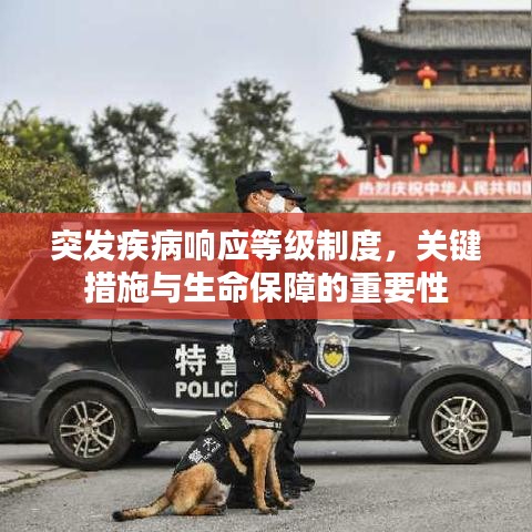 突发疾病响应等级制度，关键措施与生命保障的重要性