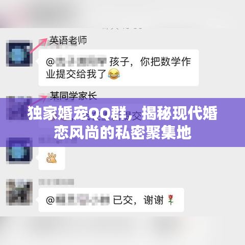 独家婚宠QQ群，揭秘现代婚恋风尚的私密聚集地