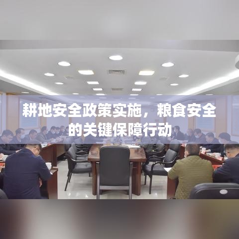 耕地安全政策实施,粮食安全的关键保障行动