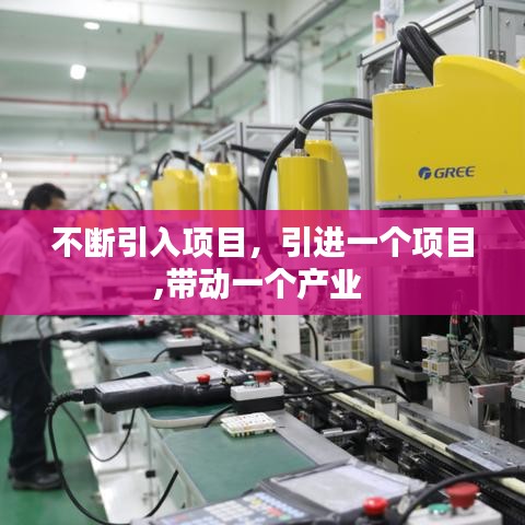 不断引入项目,引进一个项目,带动一个产业