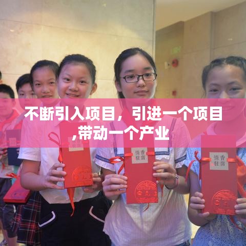 不断引入项目,引进一个项目,带动一个产业