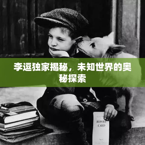 李逗独家揭秘，未知世界的奥秘探索