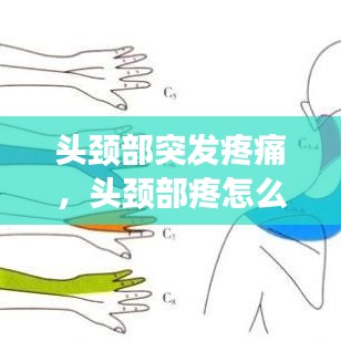 头颈部突发疼痛,头颈部疼怎么回事