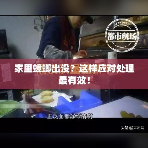 家里蟑螂出没？这样应对处理最有效！