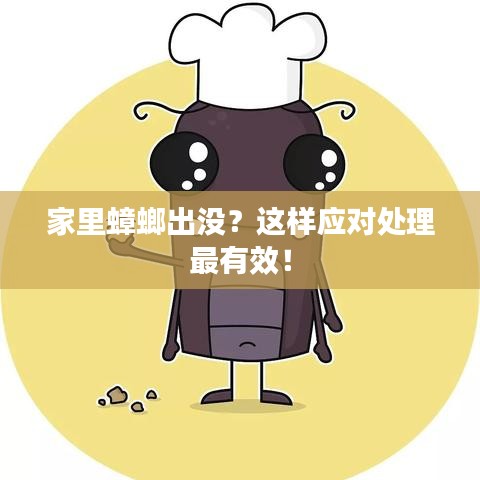 家里蟑螂出没?这样应对处理最有效!