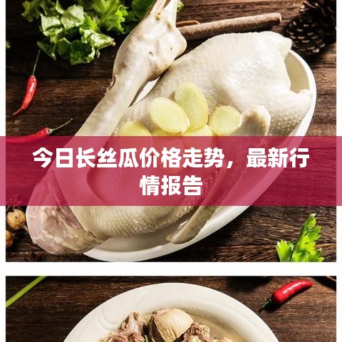 今日长丝瓜价格走势,最新行情报告