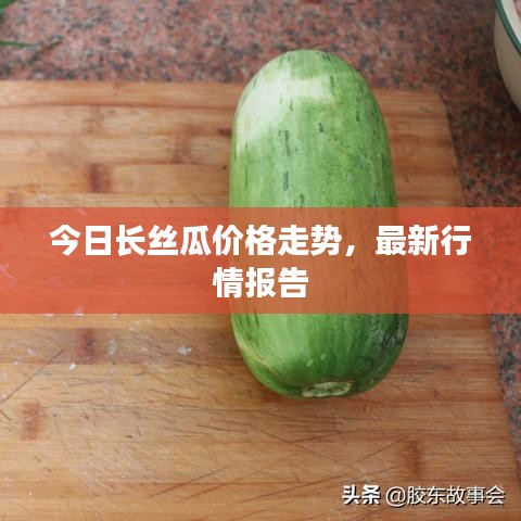 今日长丝瓜价格走势,最新行情报告
