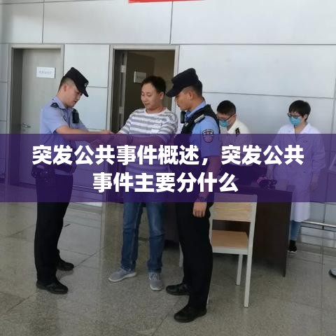 突发公共事件概述,突发公共事件主要分什么