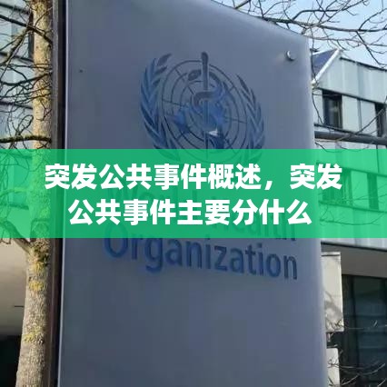 突发公共事件概述,突发公共事件主要分什么