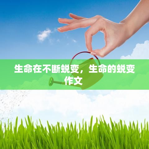 改弦易张 第3页