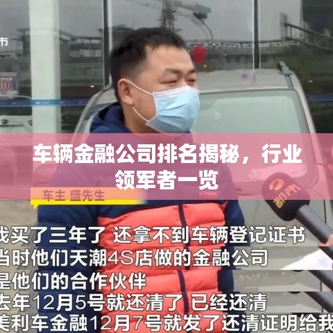 车辆金融公司排名揭秘,行业领军者一览