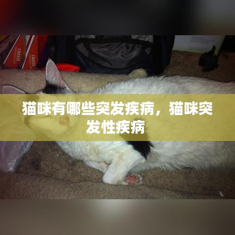 伸手不见五指 第3页