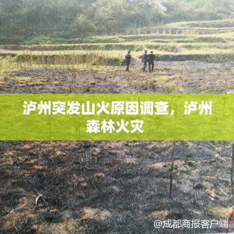 泸州突发山火原因调查，泸州森林火灾 