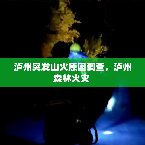 泸州突发山火原因调查,泸州森林火灾
