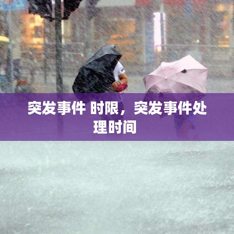 突发事件 时限，突发事件处理时间 