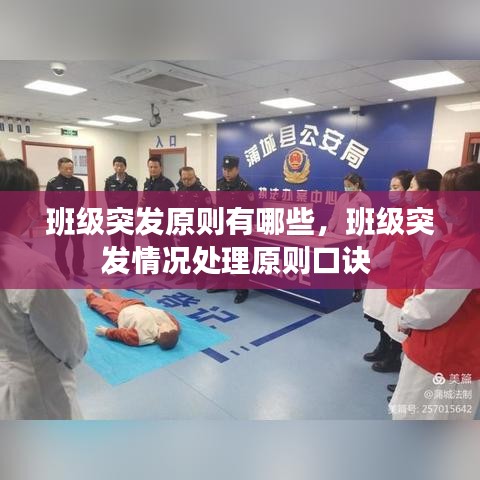 班级突发原则有哪些,班级突发情况处理原则口诀