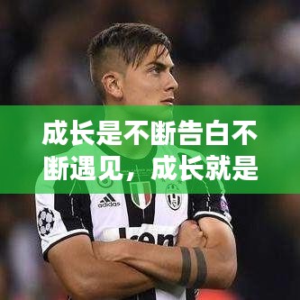 成长是不断告白不断遇见,成长就是不断告别下一句