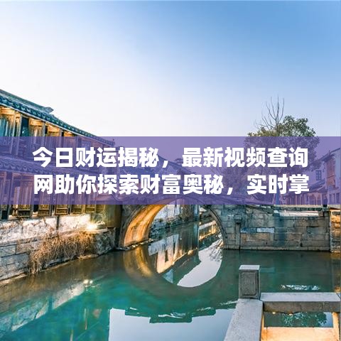 今日财运揭秘,最新视频查询网助你探索财富奥秘,实时掌握最新动态