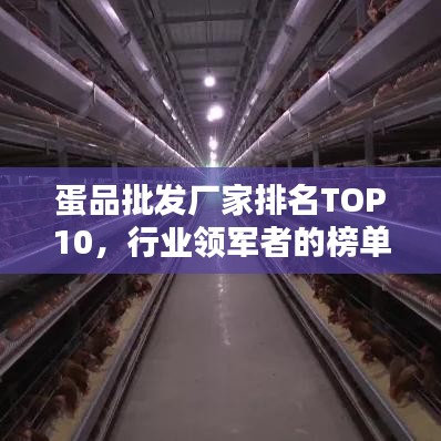 蛋品批发厂家排名TOP10，行业领军者的榜单揭秘