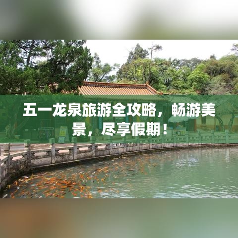 五一龙泉旅游全攻略，畅游美景，尽享假期！
