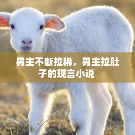 对答如流 第4页