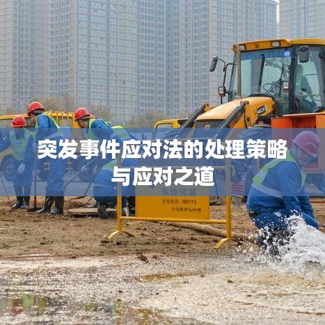 一石二鸟 第3页