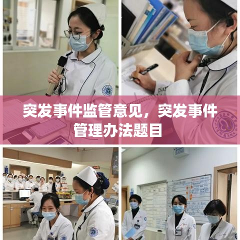 突发事件监管意见,突发事件管理办法题目