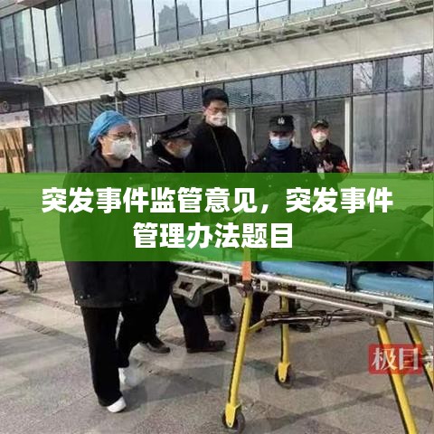 突发事件监管意见,突发事件管理办法题目