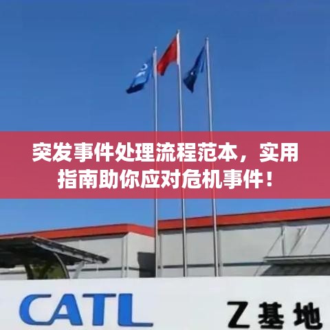 突发事件处理流程范本，实用指南助你应对危机事件！