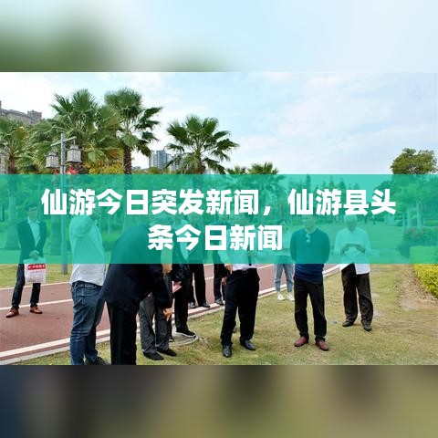 仙游今日突发新闻，仙游县头条今日新闻 