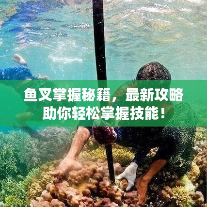 鱼叉掌握秘籍,最新攻略助你轻松掌握技能!