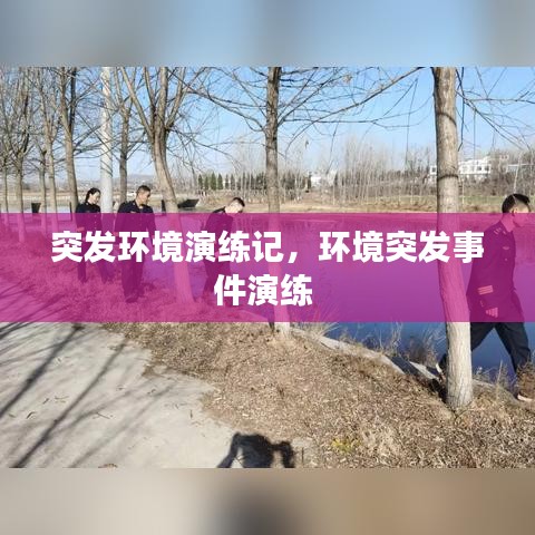 突发环境演练记,环境突发事件演练