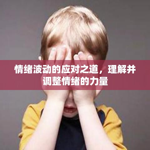 情绪波动的应对之道,理解并调整情绪的力量