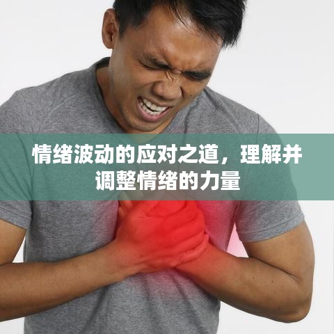 情绪波动的应对之道,理解并调整情绪的力量