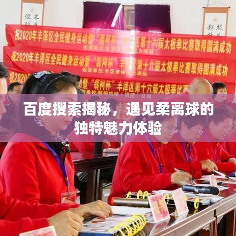 百度搜索揭秘，遇见柔离球的独特魅力体验