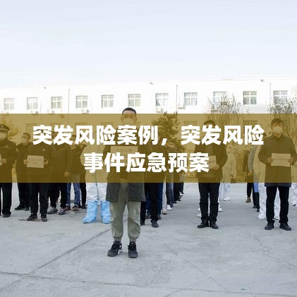 突发风险案例，突发风险事件应急预案 