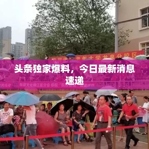 头条独家爆料，今日最新消息速递