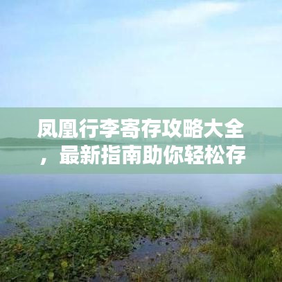 五光十色 第3页