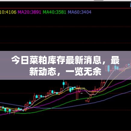 今日菜粕库存最新消息，最新动态，一览无余